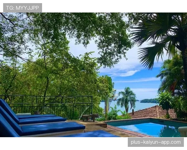 博卡后防线重建提上日程，博卡s3